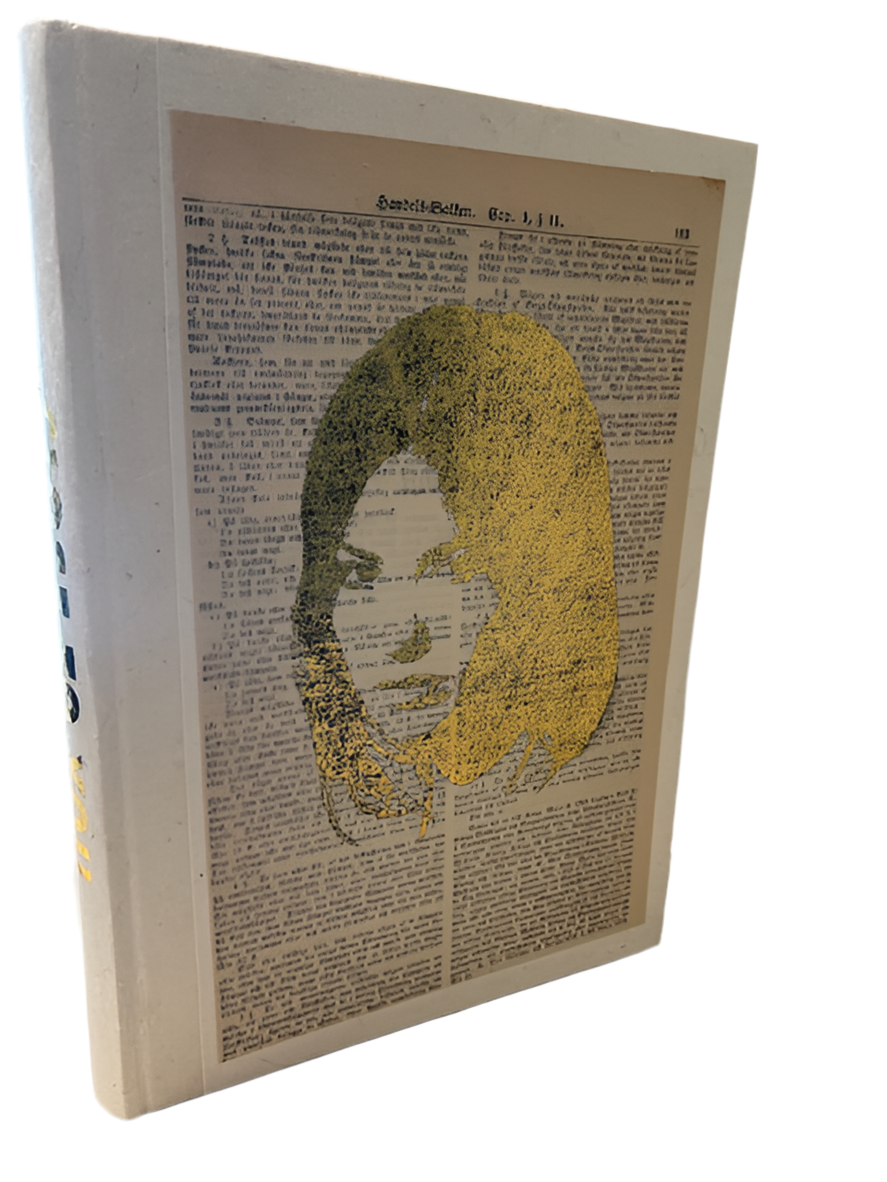 Gracie Abrams Artist Journal