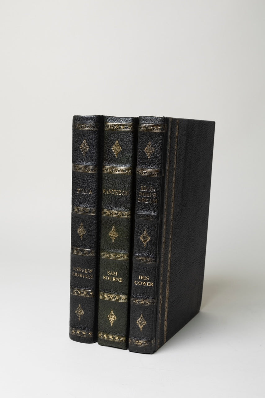 ONE BOOK - Iris Gower