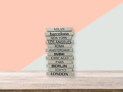 E Law Mini Cities Book - Paris