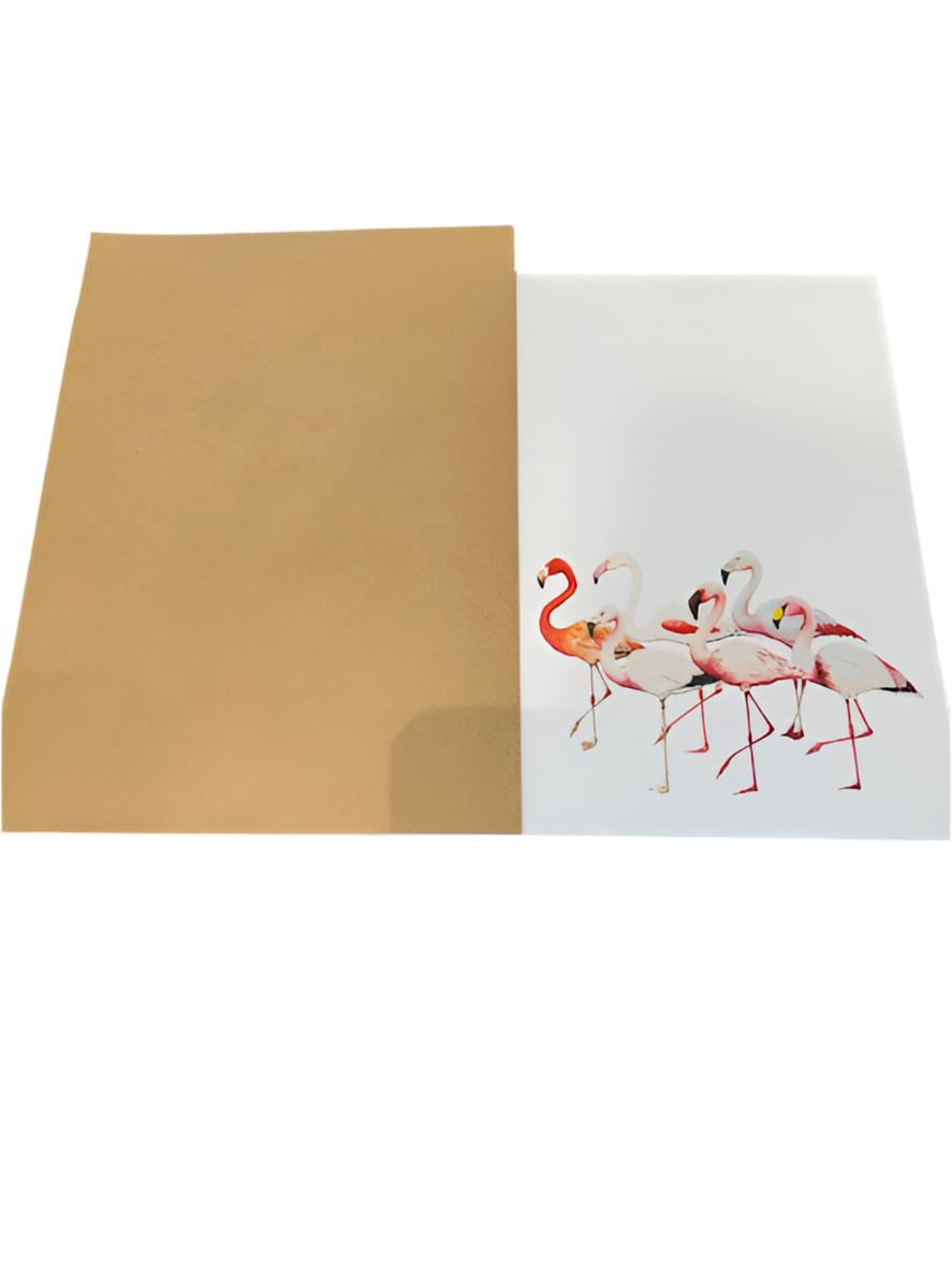 CHADWICK FLAMINGOS SET/2