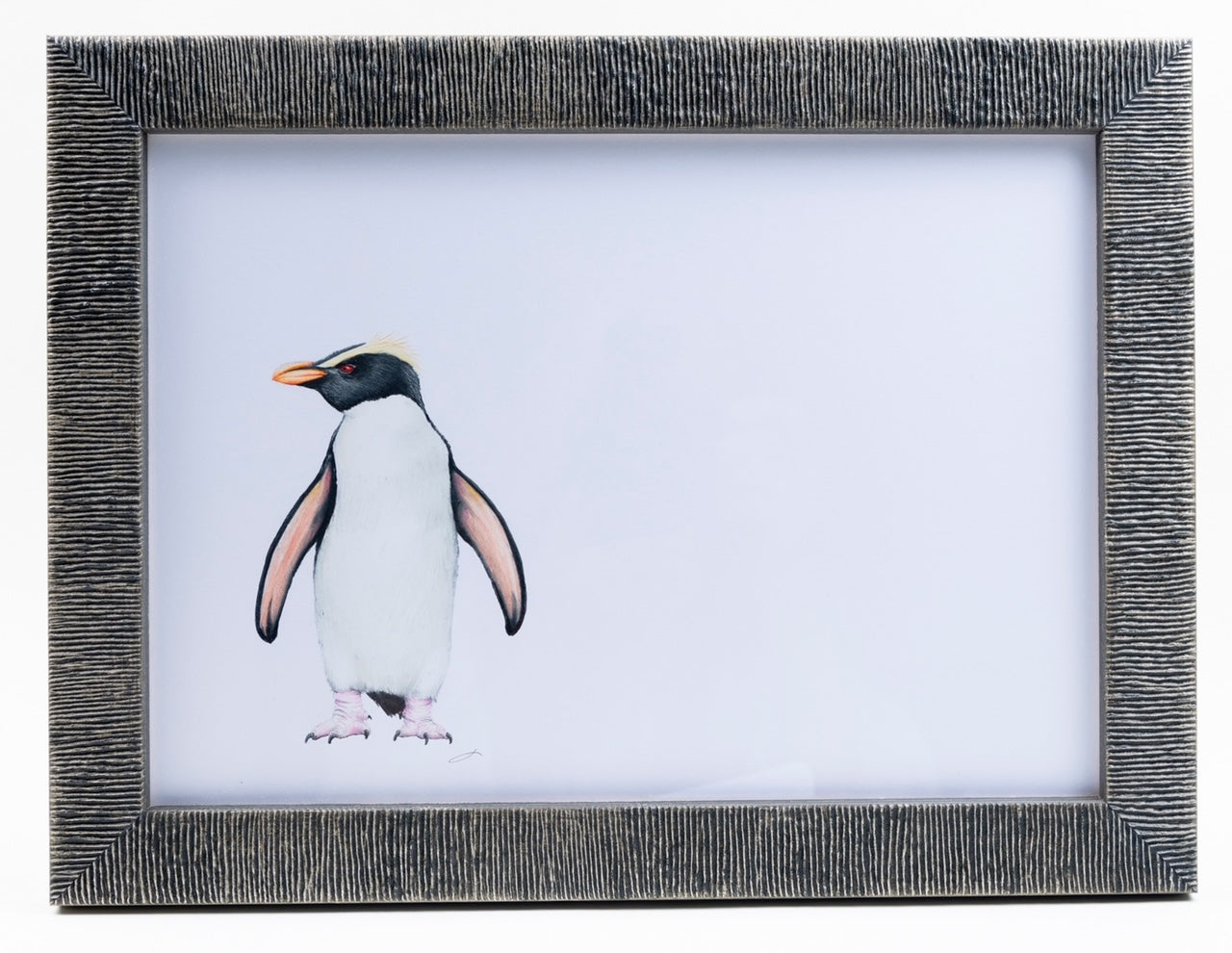 CHADWICK PENGUIN PINK FLAPS