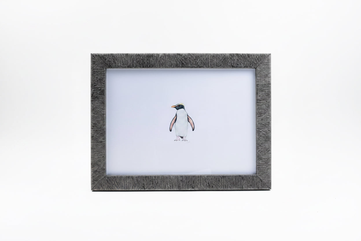 CHADWICK PENGUIN PINK FLAPS 10x13