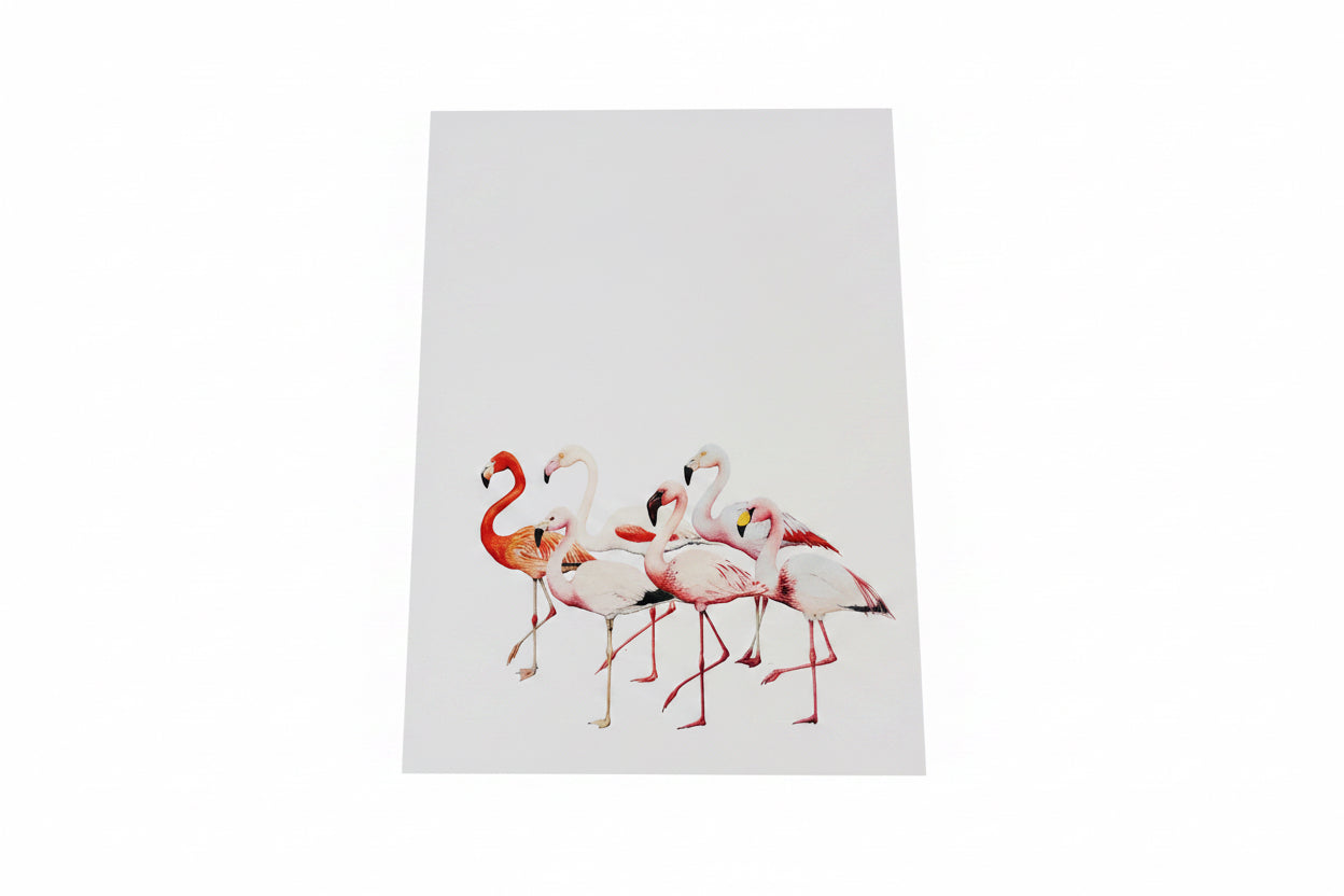 CHADWICK FLAMINGOS-SINGLE CARD
