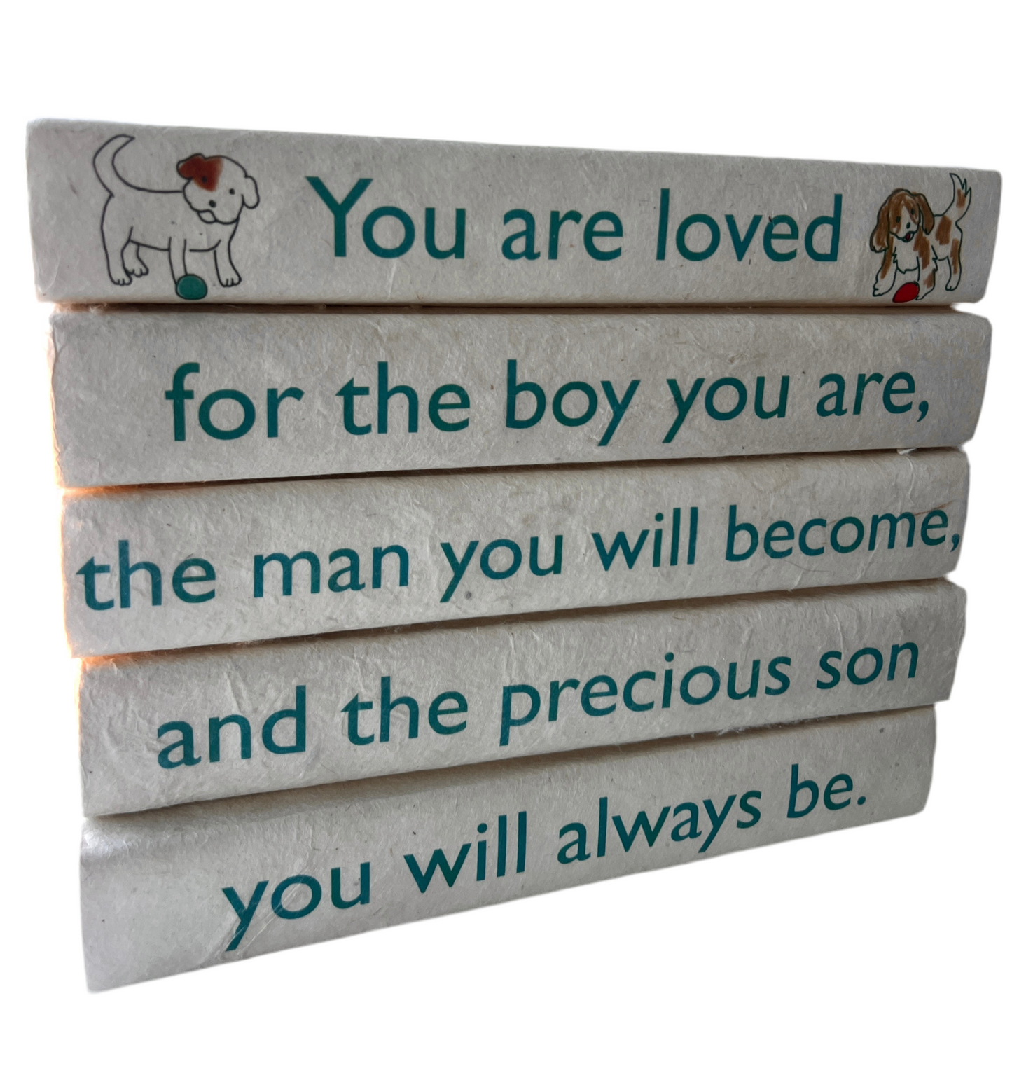 E Law 5 Vol You are loved…son you will