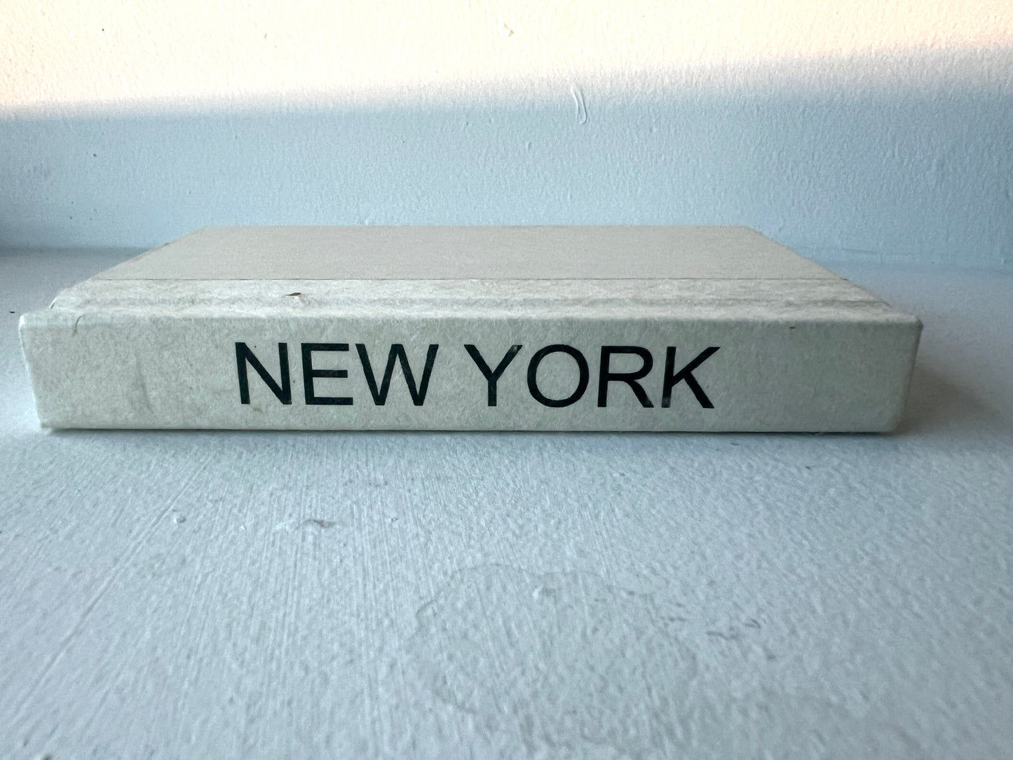 E Law Mini Cities Book - New York