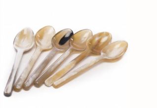 Vivo Horn Spoons S/6