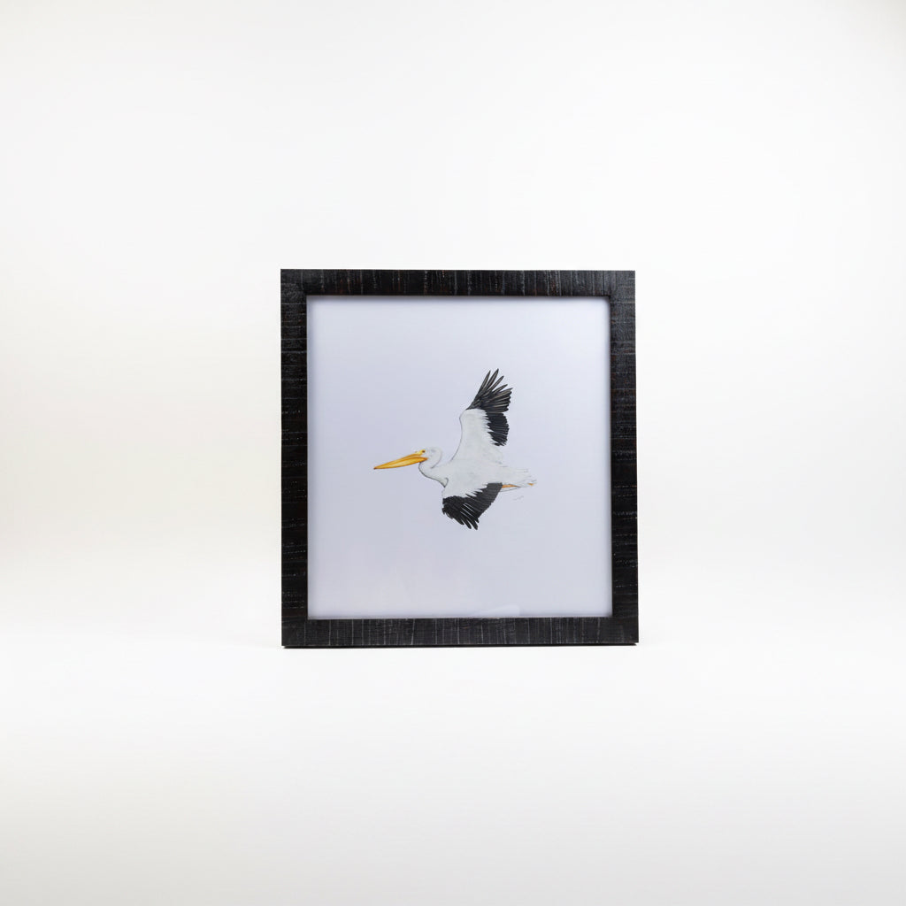 CHADWICK AMERICAN WHITE PELICAN 15x16