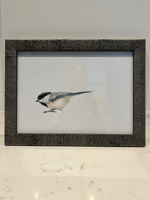 CHADWICK BIRD Blue & White