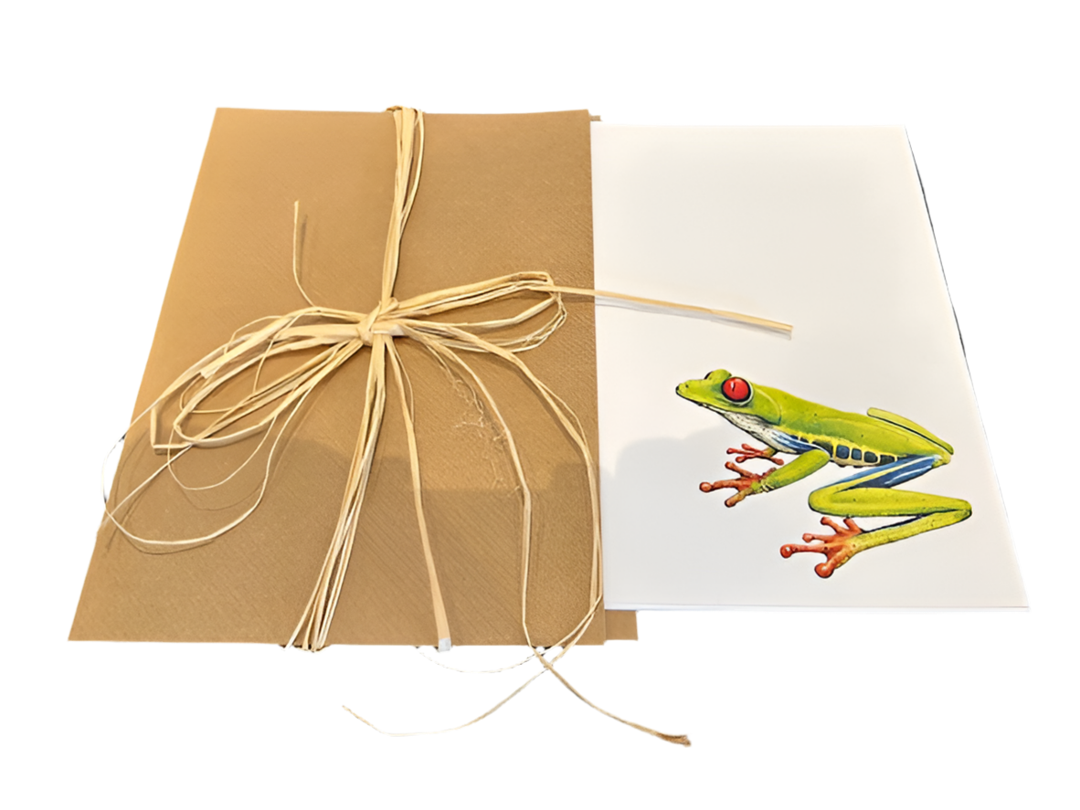 Red Eye Tree Frog Card S/2