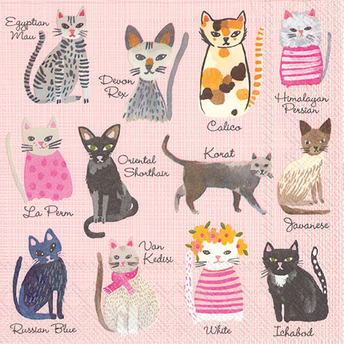 Boston Cocktail Napkins Cool Cats