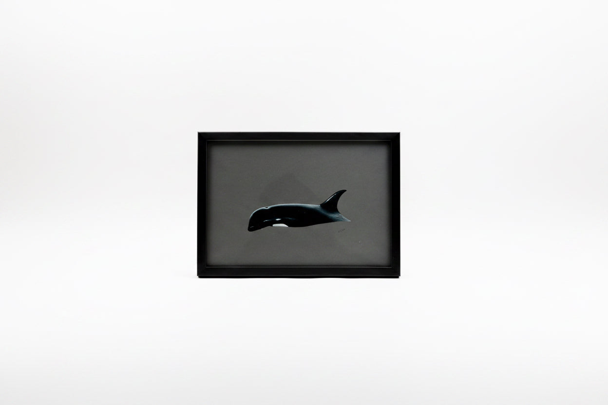 CHADWICK KILLER WHALE TONAL 12.5x9