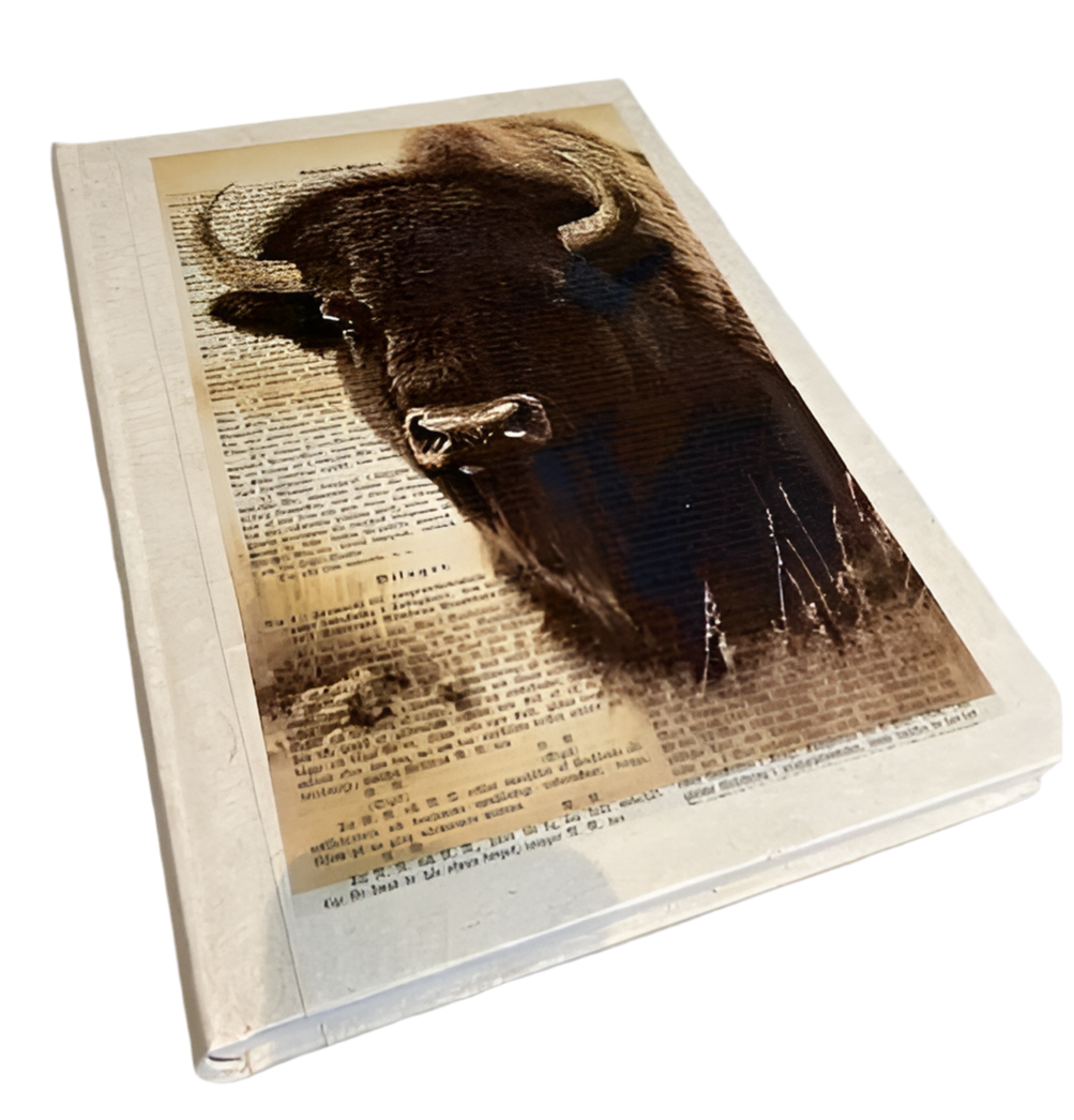 E Law GL Buffalo-Be the Buffalo