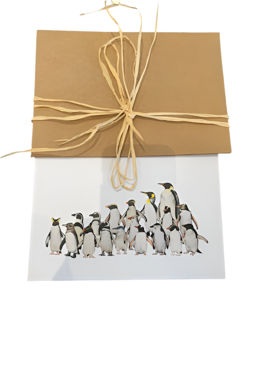 CHADWICK PENGUIN SPECIES CARD S/2