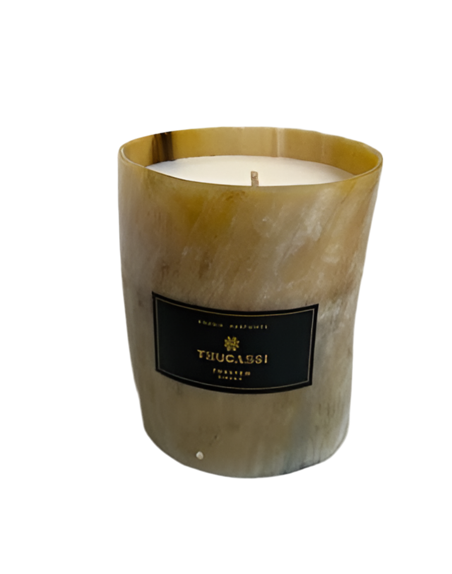 TH Torsten BRGR Candle Natural Horn 10oz