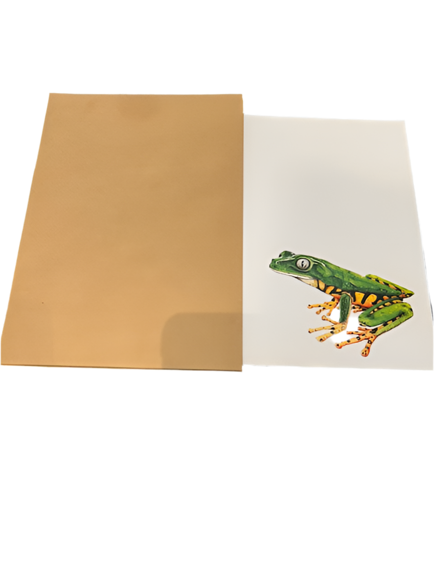 Tiger Legged Tree Frog Card S/2