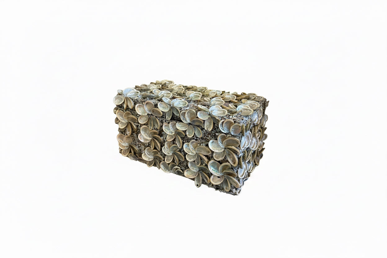 Palecek Abalone Rectangular Box