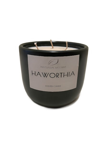 The Coastal Succulent LG Candle - Hawthoria