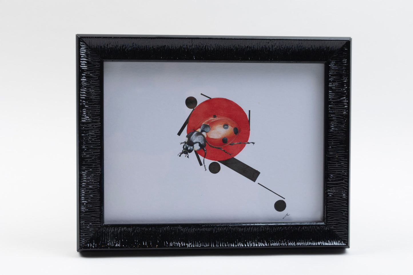 CHADWICK LADYBUG SHAPE