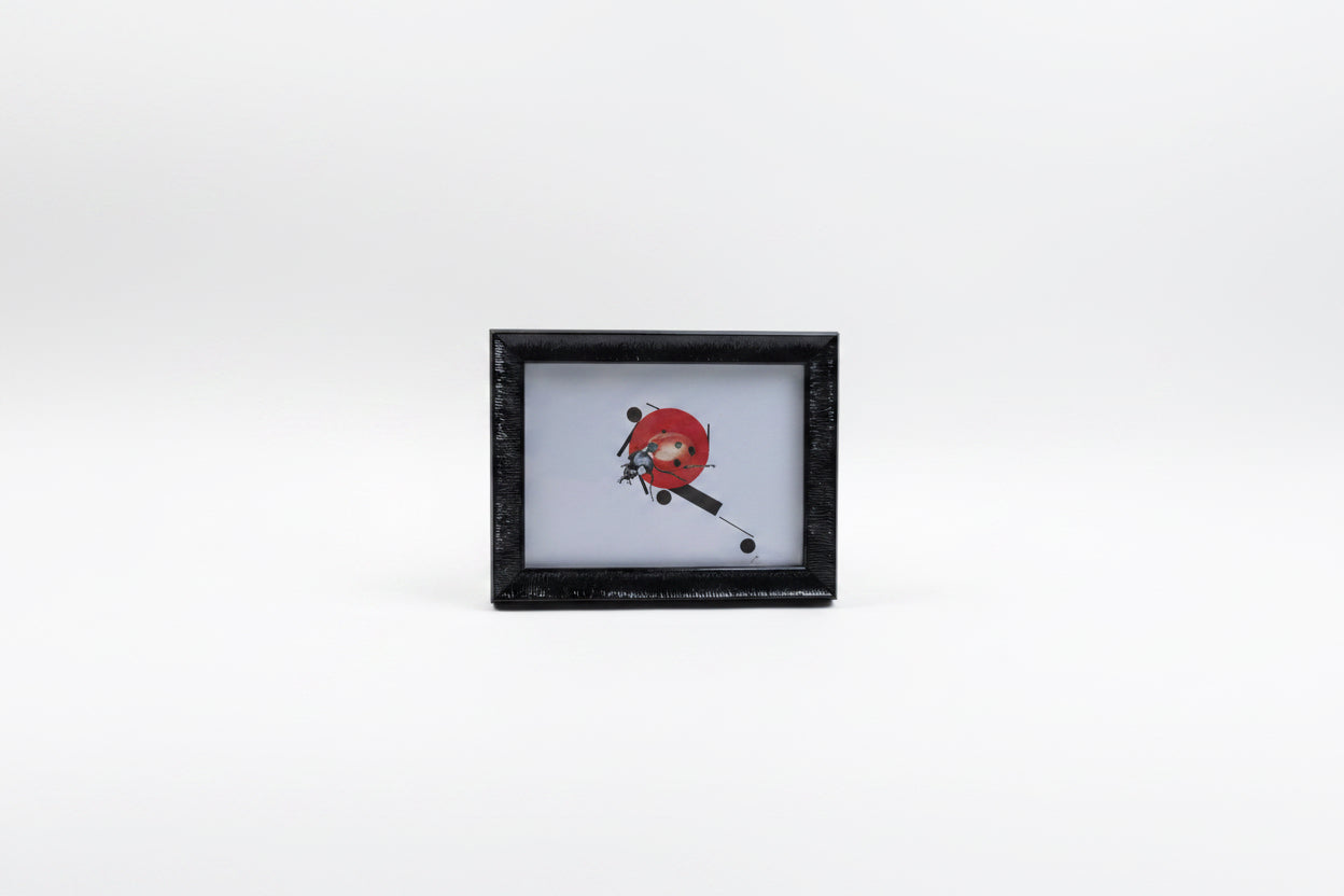 CHADWICK LADYBUG SHAPE 7.5x6
