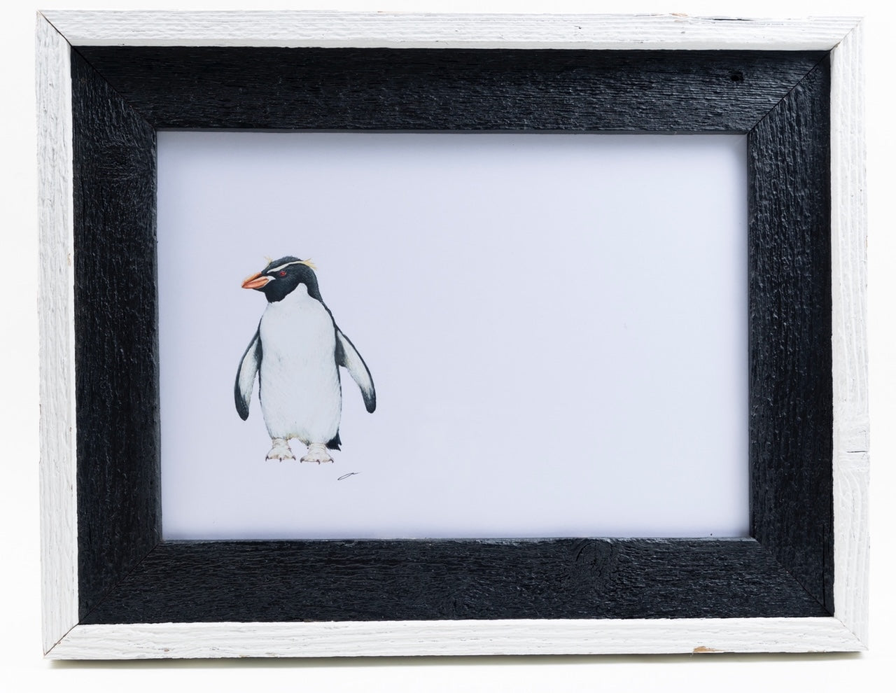 CHADWICK PENGUIN SNARES White Frame