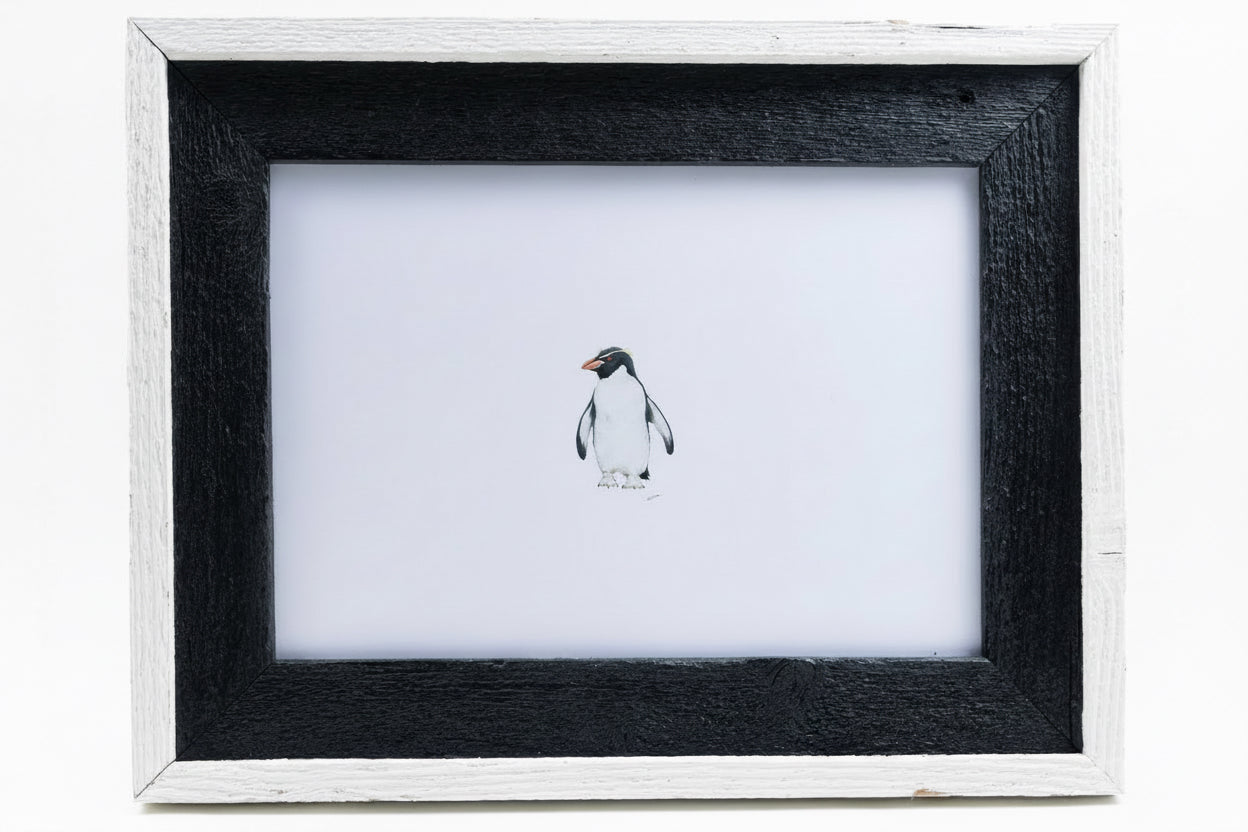 CHADWICK PENGUIN SNARES 15.25x12