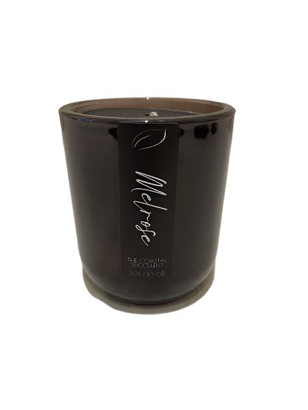 The Coastal Succulent Candle - Melrose 10oz