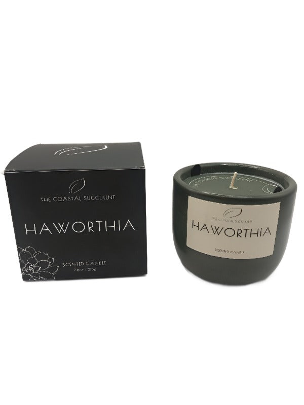 The Coastal Succulent Candle - Haworthia