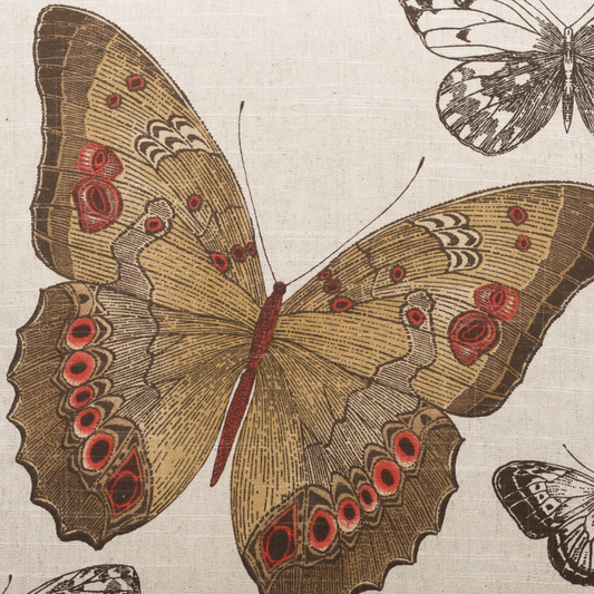 DV Kap Madame Butterfly Sunset 24x24 Pillow