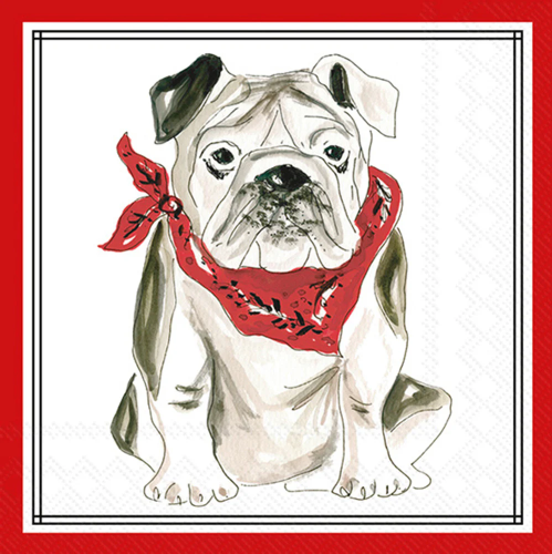 Boston Cocktail Red Bulldog Hometown Pride