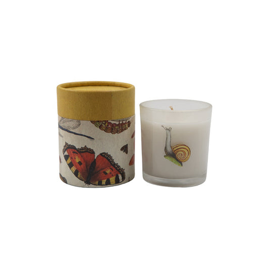 Sugarboo Flora & Fauna Candle Snail