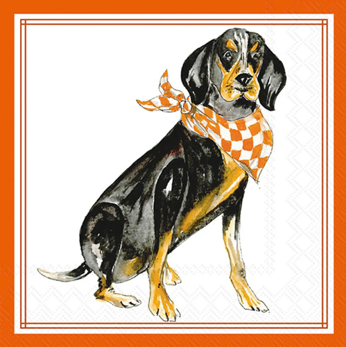 Boston Cocktail Orange Coonhound Hometown Pride