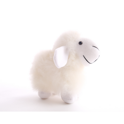 Fibre Alpaca Sm Animal Sheep White