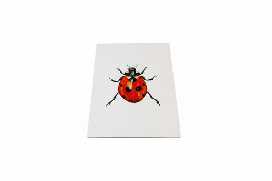 CHADWICK 7 SPOTTED LADY BUG-SINGLE CARD