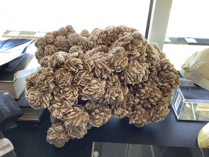 Asian Loft Villahumada Sculpture - Desert Rose