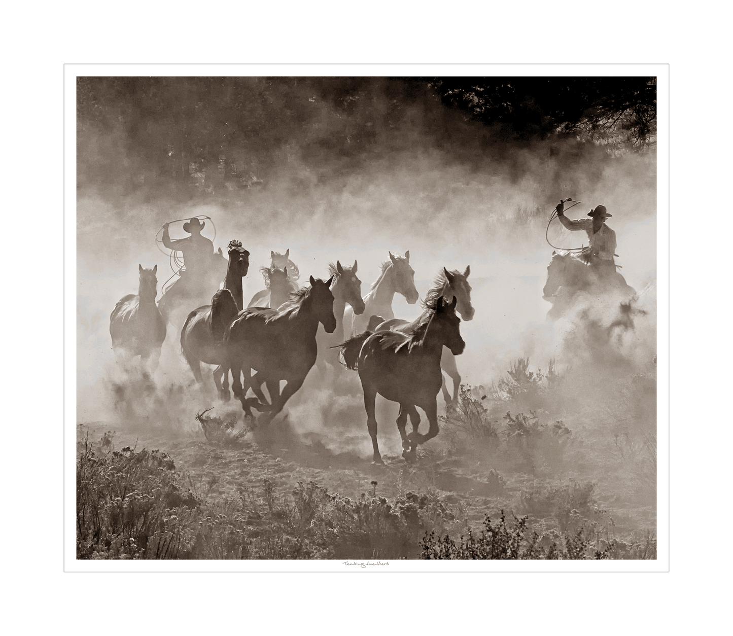 LDN Tending the Herd 23x20