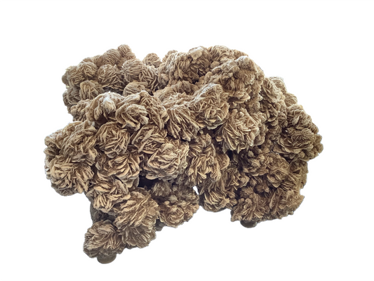 Asian Loft Villahumada Sculpture - Desert Rose