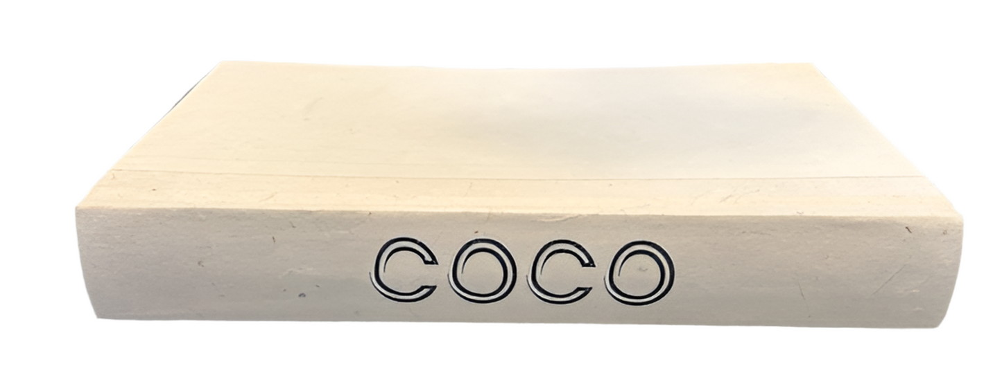 E Law Custom Lettering on Cream Books - Coco