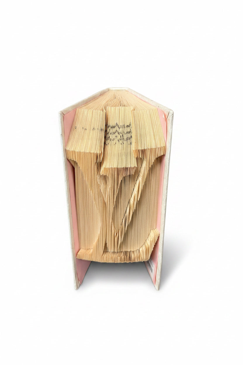 E Law Pages Folded by Hand/Designer Logos Book - LV