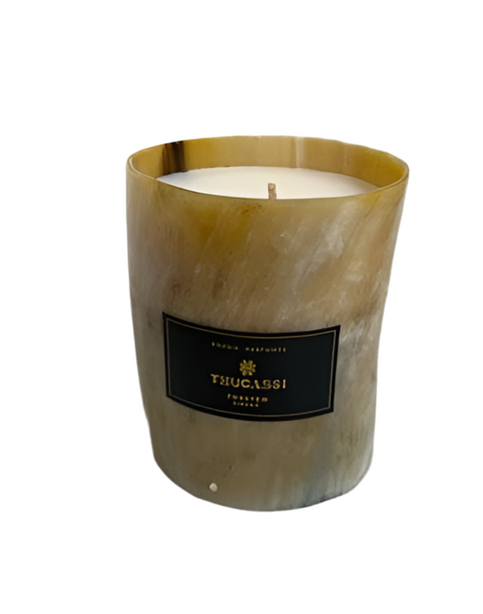TH Torsten BRGR Candle Natural Horn 10oz