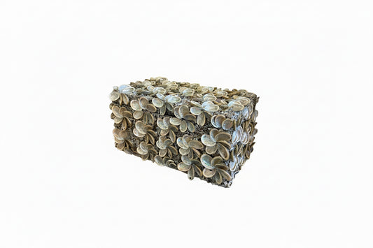 Palecek Abalone Rectangular Box