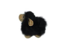 Fibre Alpaca Sm Animal Sheep Black