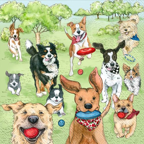 Boston Cocktail Napkins Dog Park Runners