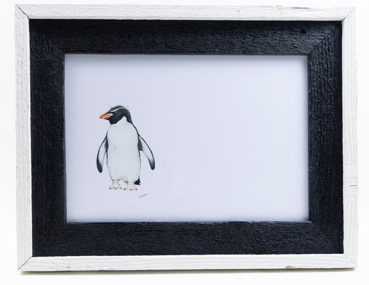 CHADWICK PENGUIN SNARES White Frame