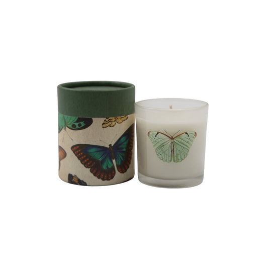Sugarboo Flora & Fauna Candle Butterfly