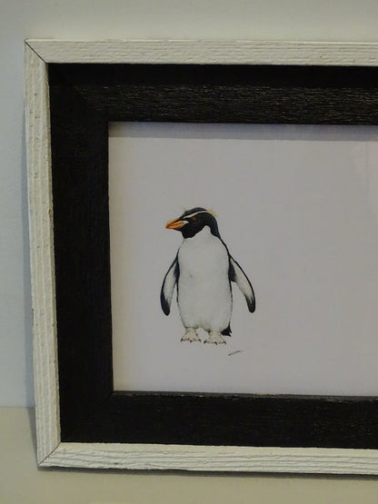 Penguin Drawing